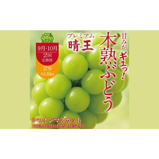 ふるさと納税 ぶどう マスカット 岡山県 倉敷市 2回定期便 最高峰プレミアム 木熟ぶどう ハレノシャイン シャインマスカット 晴王 2房 合計約1.6kg以上 赤秀…
