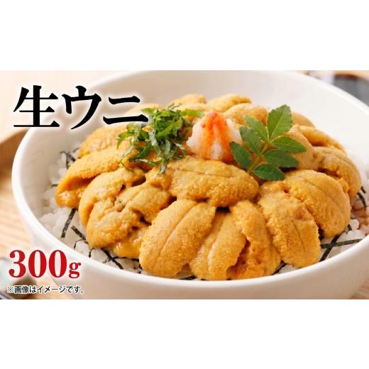 ふるさと納税 ウニ 岩手県 大船渡市 生ウニ 300g (100g×3) 冷蔵 添加物無添加 ミョウバン不使用 ムラサキウニ 季節限定 生うに 生雲丹 天然 海鮮丼 寿司 ウニ…