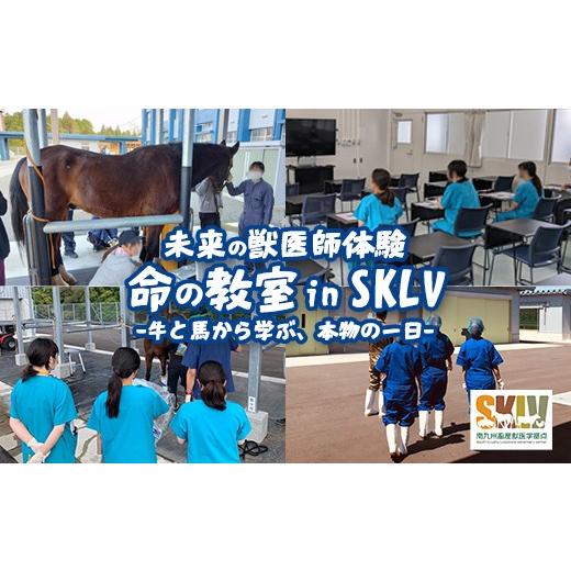 ふるさと納税 体験チケット 鹿児島県 曽於市 未来の獣医師体験 命の教室 in SKLV -牛と馬から学ぶ、本物の一日- (対象年齢:小学生〜高校生 / 1名) 体験 …
