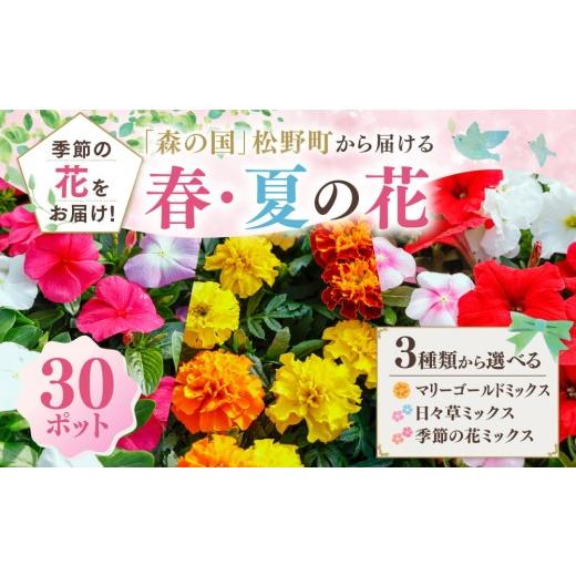 ふるさと納税 雑貨・日用品 花 愛媛県 松野町 季節の花ミックス 春・夏 選べる3種 森の国から届ける花苗ポット(30ポット) | 花 花壇 苗 ベランダ マリーゴ…