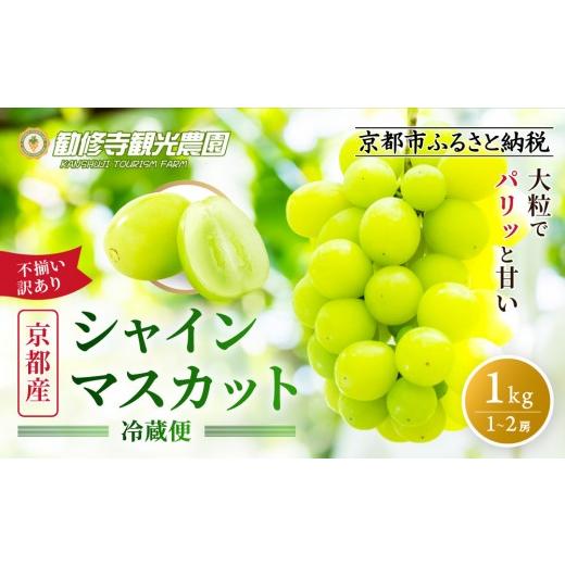 ふるさと納税 ぶどう マスカット 京都府 京都市 [先行予約 2026年8月下旬〜9月発送] 勧修寺観光農園 不揃い訳あり 京都市産 シャインマスカット 1kg|シャイ…