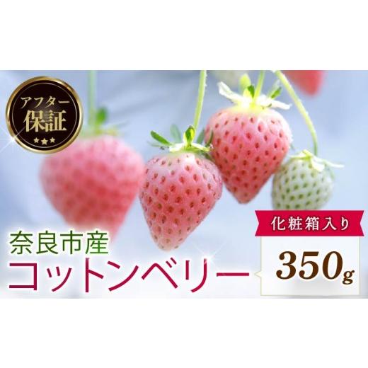ふるさと納税 いちご 奈良県 奈良市 数量限定 2027年 3~4月発送 苺 いちご コットンベリー 約350g 化粧箱 冷蔵 小分け 果物 スイーツ デザート くだもの フル…