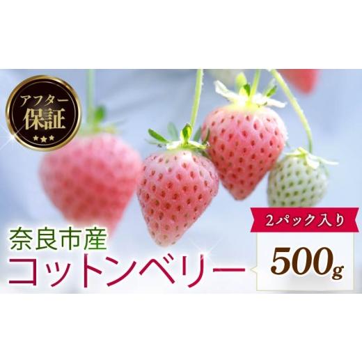 ふるさと納税 いちご 奈良県 奈良市 数量限定 2027年 3~4月発送 苺 いちご コットンベリー 2パック 約500g (約250g×2P) ゆりかーご 冷蔵 小分け 果物 スイー…