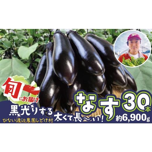 ふるさと納税 野菜類 茄子 秋田県 大館市 ナス 黒光りする太くて長い 30本 120P3206 / 東北 秋田 大館 野菜 新鮮 農産物 農家 なす 農家直送 おいしい