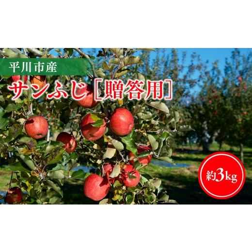 ふるさと納税 りんご 青森県 平川市 11月下旬〜順次発送 贈答用サンふじ3kg 今井農園 <hi-0064-008>
