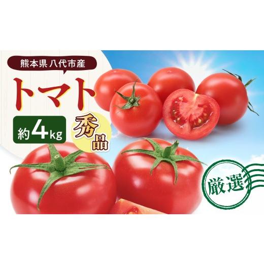 ふるさと納税 野菜類 トマト 熊本県 八代市 先行予約 熊本県八代市産 トマト 約4kg (20玉または24玉) とまと 野菜 やさい サラダ 旬 旬の野菜 新鮮 新鮮な野…