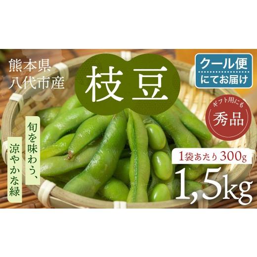 ふるさと納税 豆類 枝豆 熊本県 八代市 先行予約 熊本県八代市産 枝豆 1.5kg えだまめ エダマメ 茶豆 産地直送 おつまみ 野菜 お弁当 豆 まめ 旬 熊本県 八代…