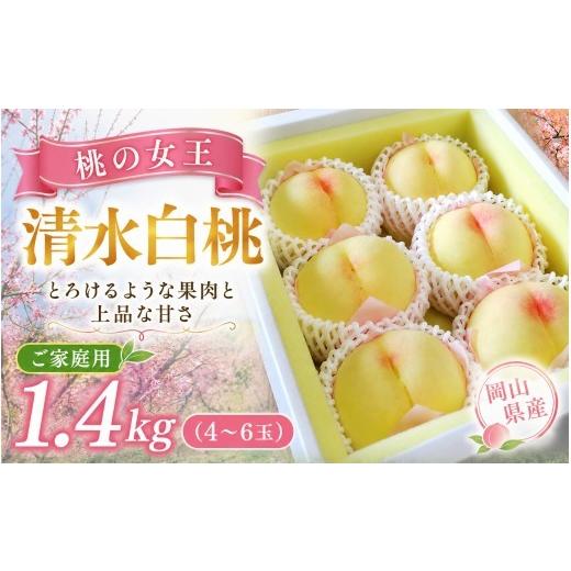 ふるさと納税 もも 岡山県 真庭市 2026年先行予約 桃 清水白桃 約1.4kg(4〜6玉)岡山県産 ご家庭用 もも 白桃 フルーツ 果物 きびもも園