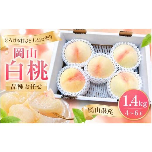 ふるさと納税 もも 岡山県 真庭市 2026年先行予約 桃 岡山白桃 約1.4kg(4〜6玉)岡山県産 ご家庭用 もも 白桃 フルーツ 果物 きびもも園