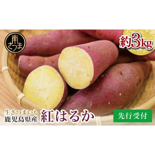 ふるさと納税 野菜類 サツマイモ 鹿児島県 南さつま市 鹿児島県産 生さつまいも「紅はるか」約3kg 11月以降順次出荷 冬季限定 先行受付 さつまいも 生いも 生…