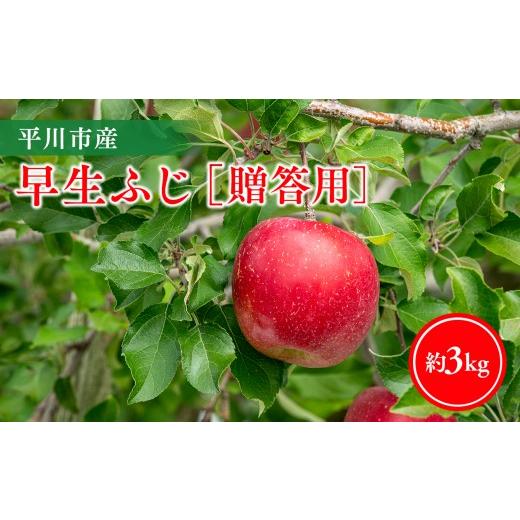 ふるさと納税 りんご 青森県 平川市 10月発送 贈答用早生ふじ3kg 今井農園 hi-