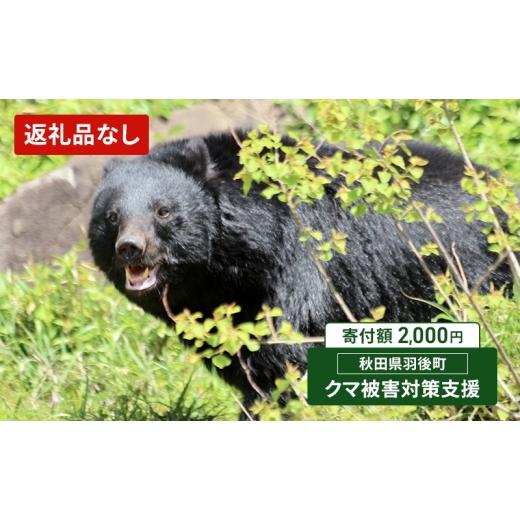 ふるさと納税 イベントやチケット等 秋田県 羽後町 返礼品なし クマ被害対策支援(秋田県羽後町)2,000円 応援 支援 寄附のみ 羽後町ふるさと納税