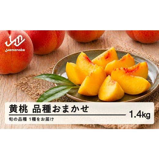 ふるさと納税 もも 山形県 山辺町 先行予約 黄桃 もも 桃 品種おまかせ 約1.4kg 令和8年産 2026年産 果物 フルーツ 沖縄・離島への配送不可 mm-kmomx1400