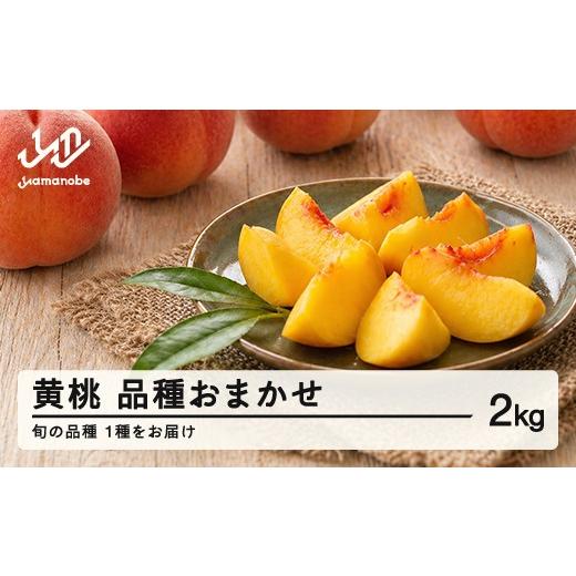ふるさと納税 もも 山形県 山辺町 先行予約 黄桃 もも 桃 品種おまかせ 約2kg 令和8年産 2026年産 果物 フルーツ 沖縄・離島への配送不可 mm-kmomx2000