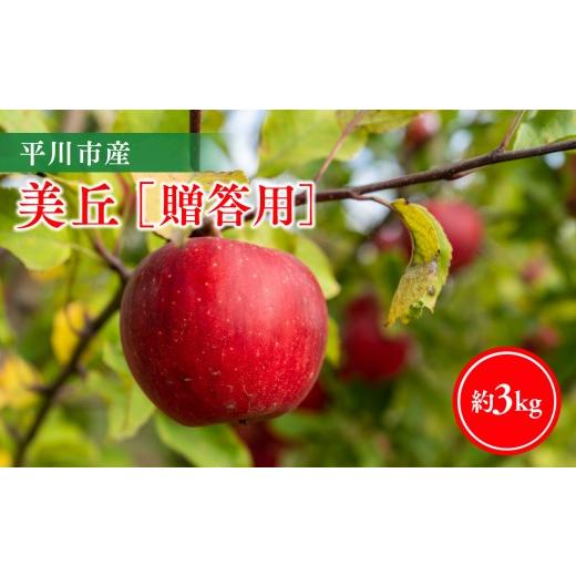 ふるさと納税 りんご 青森県 平川市 11月下旬〜順次発送 贈答用美丘3kg 今井農園 hi-