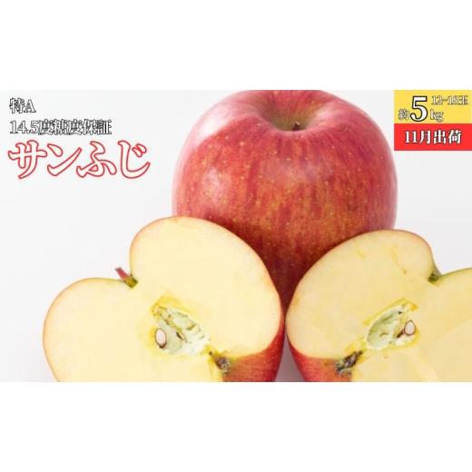 ふるさと納税 りんご 青森県 板柳町 11月 特A サンふじ約5kg(12〜18個)14.5度糖度保証 青森りんご・ゆうきアップル・11月