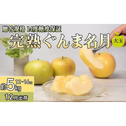 ふるさと納税 りんご 青森県 板柳町 12月 贈答規格 完熟大玉ぐんま名月約5kg(12〜16個)14度糖度保証 青森りんご・ゆうきアップル・12月 果物類 果物 フルー…
