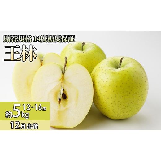 ふるさと納税 りんご 青森県 板柳町 12月 贈答規格 王林約5kg(12〜16個)14度糖度保証 青森りんご・ゆうきアップル・12月 果物類 果物 フルーツ 代表品種 甘…