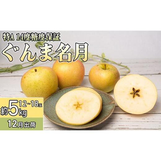 ふるさと納税 りんご 青森県 板柳町 12月 特A ぐんま名月約5kg(12〜18個)14度糖度保証 青森りんご・ゆうきアップル・12月 果物類 フルーツ 果物