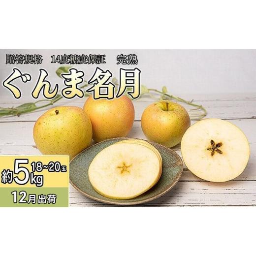 ふるさと納税 りんご 青森県 板柳町 12月 贈答規格 完熟ぐんま名月 約5kg(18〜20玉)14度糖度保証 青森りんご・ゆうきアップル・12月 果物 フルーツ 黄色りん…