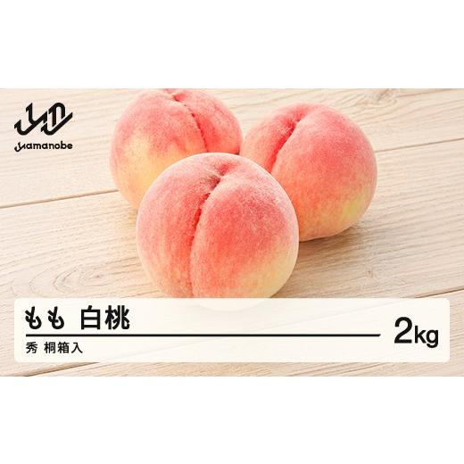 ふるさと納税 もも 山形県 山辺町 先行予約 白桃 秀 桐箱入 もも 桃 品種おまかせ 約2kg 令和8年産 2026年産 果物 沖縄・離島への配送不可 mm-moomk2000