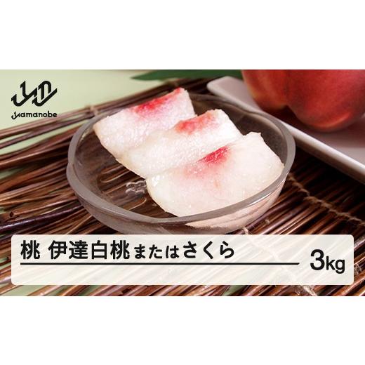 ふるさと納税 もも 山形県 山辺町 先行予約 もも 桃 伊達白桃またはさくら 約3kg 令和8年産 2026年産 果物 フルーツ ギフト 贈答用 大玉 沖縄・離島への配送…