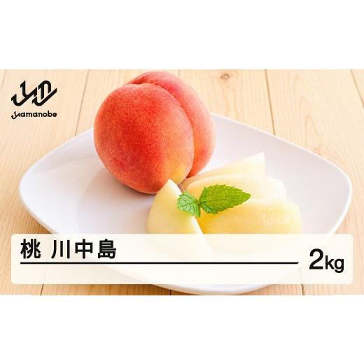 ふるさと納税 もも 山形県 山辺町 先行予約 もも 桃 川中島 約2kg 令和8年産 2026年産 果物 沖縄・離島への配送不可 mm-moknx2