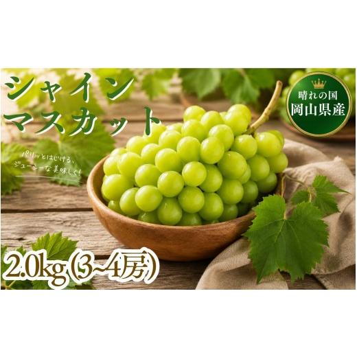 ふるさと納税 ぶどう マスカット 岡山県 真庭市 2026年先行予約 晴れの国の完熟シャインマスカット「岡山シャマス」 2.0kg(3~4房) / 岡山県 ぶどう シャイン…