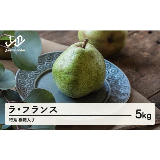 ふるさと納税 梨 山形県 山辺町 先行予約 ラ・フランス 洋梨 ラフランス 5kg 特秀品 桐箱入 令和8年産 2026年産 果物 沖縄・離島への配送不可 mm-latsk5000