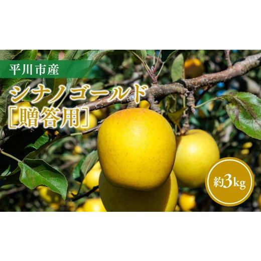 ふるさと納税 りんご 青森県 平川市 11月〜順次発送 贈答用シナノゴールド3kg 今井農園 hi-