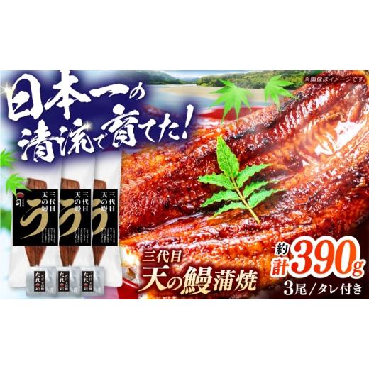 ふるさと納税 うなぎ 高知県 高知市 土佐料理司 三代目天の鰻蒲焼3尾セット (高知市春野町産) / 鰻 うなぎ ウナギ 蒲焼 うな重 国産 高知市 株式会社土佐料理…
