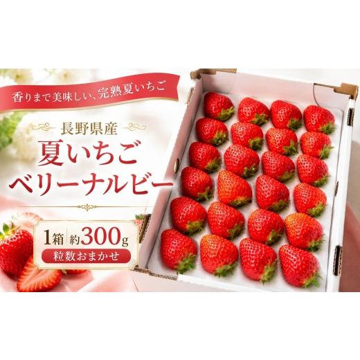 ふるさと納税 いちご 長野県 伊那市 いちご 夏イチゴ 長野県産 夏いちご ベリーナルビー 1箱 約300g 粒数おまかせ | フルーツ くだもの 苺 夏 いちご ベリーナ…