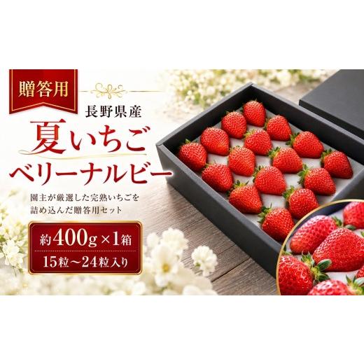ふるさと納税 いちご 長野県 伊那市 いちご 夏イチゴ 贈答用 長野県産 夏いちご ベリーナルビー 1箱 約400g 15〜24粒入り | フルーツ くだもの 苺 夏 いちご …
