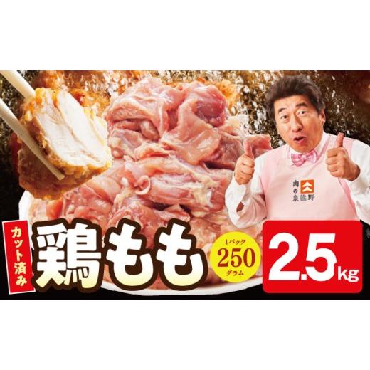 ふるさと納税 鶏肉 大阪府 泉佐野市 小分け 国産鶏もも肉 2.5kg(250g×10P) カット済み 氷温熟成×極味付け 簡単調理 訳あり サイズ不揃い 鶏肉 とり スピ…