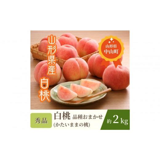ふるさと納税 もも 山形県 中山町 2026年発送 白桃 かたいままの桃 秀品約2Kg