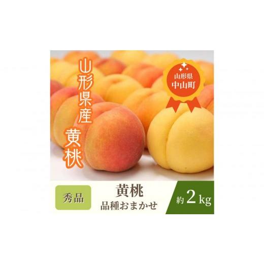 ふるさと納税 もも 山形県 中山町 2026年発送 山形黄桃 品種おまかせ 秀品約2Kg