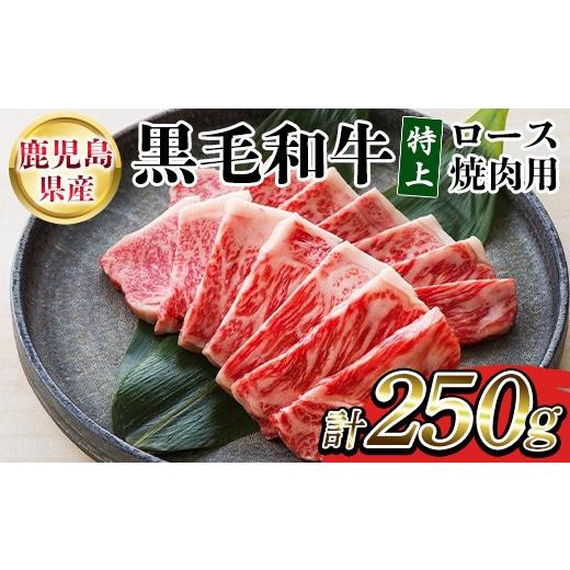 ふるさと納税 牛肉 ロース 鹿児島県 いちき串木野市 鹿児島県産 黒毛和牛 特上ロース 250g 国産 鹿児島 尾崎牧場 冷凍 和牛 ロース 焼肉 に おすすめ 00-030-3…