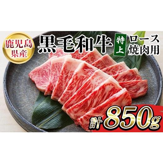 ふるさと納税 牛肉 すき焼き 鹿児島県 いちき串木野市 鹿児島県産 黒毛和牛 特上ロース 250g 国産 鹿児島 尾崎牧場 冷凍 和牛 ロース 焼肉 にも おすすめ 00-0…