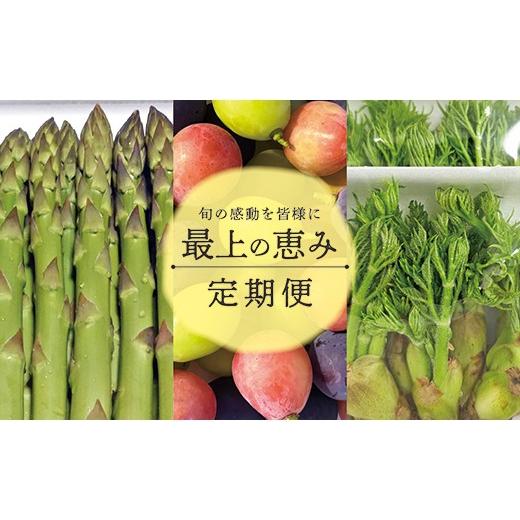 ふるさと納税 野菜類 アスパラガス 山形県 最上町 最上の恵み定期便