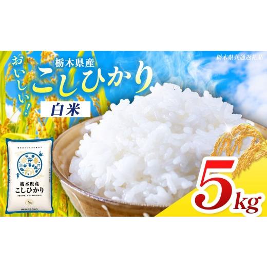 ふるさと納税 米 コシヒカリ 栃木県 那珂川町 栃木県共通返礼品 令和7年度産 コシヒカリ 5kg お米 米 kome | 栃木県共通返礼品 お米 精米 白米 玄米 大粒 小…