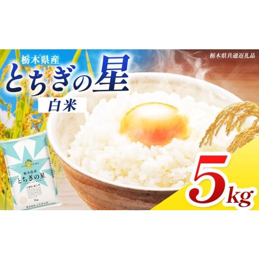ふるさと納税 米 栃木県 那珂川町 栃木県共通返礼品 米 お米 とちぎの星 5kg 令和7年度産 | お米 精米 白米 大粒 小粒 ご飯 飯 こめ コメ 栃木県 那珂川町 送…