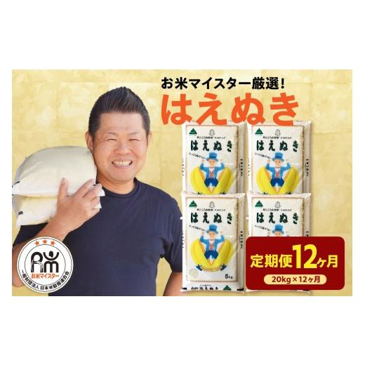 ふるさと納税 米 はえぬき 山形県 米沢市 先行予約 12ヶ月定期便 令和8年産 はえぬき 20kg ( 5kg × 4袋 ) × 12回 計240kg 2026年産 精米 米 白米 ブランド…