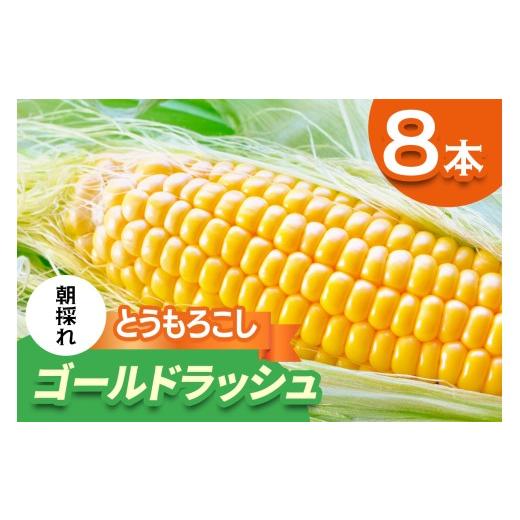 ふるさと納税 とうもろこし 千葉県 袖ケ浦市 期間限定 朝採れ とうもろこし ゴールドラッシュ 平安山農園 6月発送 |旬 新鮮 野菜 トウモロコシ 直送 甘い 高…