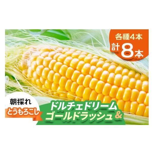ふるさと納税 とうもろこし 千葉県 袖ケ浦市 期間限定 朝採れ とうもろこし ドルチェドリーム&ゴールドラッシュ 平安山農園 6月発送 |旬 新鮮 野菜 トウモ…