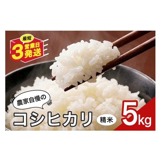 ふるさと納税 米 コシヒカリ 岐阜県 八百津町 米 5kg 精米 白米 お米 こめ コメ コシヒカリ こしひかり ギフト プレゼント 5キロ おこめ ごはん ご飯 八百津町…