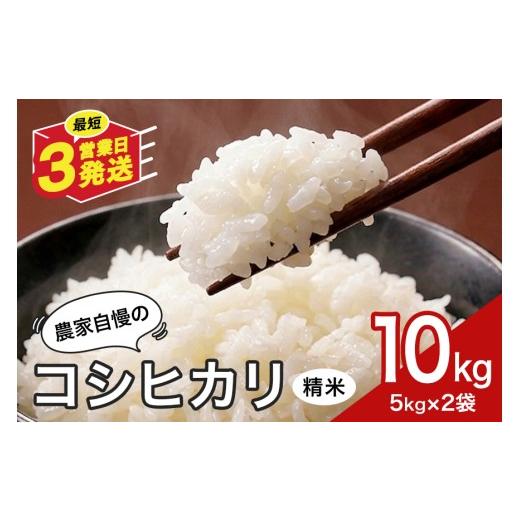 ふるさと納税 米 コシヒカリ 岐阜県 八百津町 米 10kg 精米 白米 お米 こめ コメ コシヒカリ こしひかり ギフト プレゼント 10キロ おこめ ごはん ご飯 5kg 2…