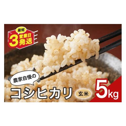 ふるさと納税 玄米 岐阜県 八百津町 玄米 米 5kg お米 こめ コメ コシヒカリ こしひかり ギフト プレゼント 5キロ おこめ ごはん ご飯 八百津町 岐阜県 Y046-0…