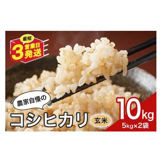 ふるさと納税 玄米 岐阜県 八百津町 玄米 米 10kg お米 こめ コメ コシヒカリ こしひかり ギフト プレゼント 10キロ おこめ ごはん ご飯 5kg 2袋計10kg 八百津…