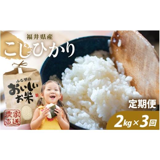 ふるさと納税 米 コシヒカリ 福井県 坂井市 先行予約 令和8年産・新米 定期便 3ヶ月連続お届け コシヒカリ 2kg (1袋) × 3回 計6kg 白米 2026年10月上旬以降…