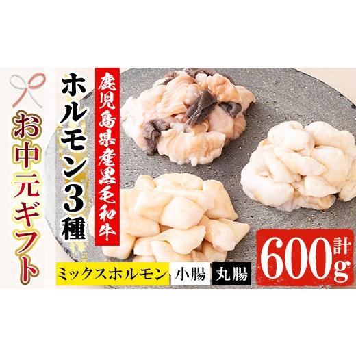ふるさと納税 牛肉 ホルモン 鹿児島県 いちき串木野市 お中元 鹿児島県産 黒毛和牛 ホルモン 3種 盛合わせ 600g(小腸 200g 丸腸 200g ミックスホルモン 200g…